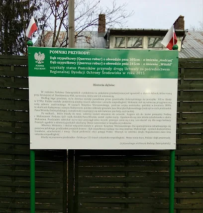 Pomnik Przyrody Głaz Narzutowy w Wołominie